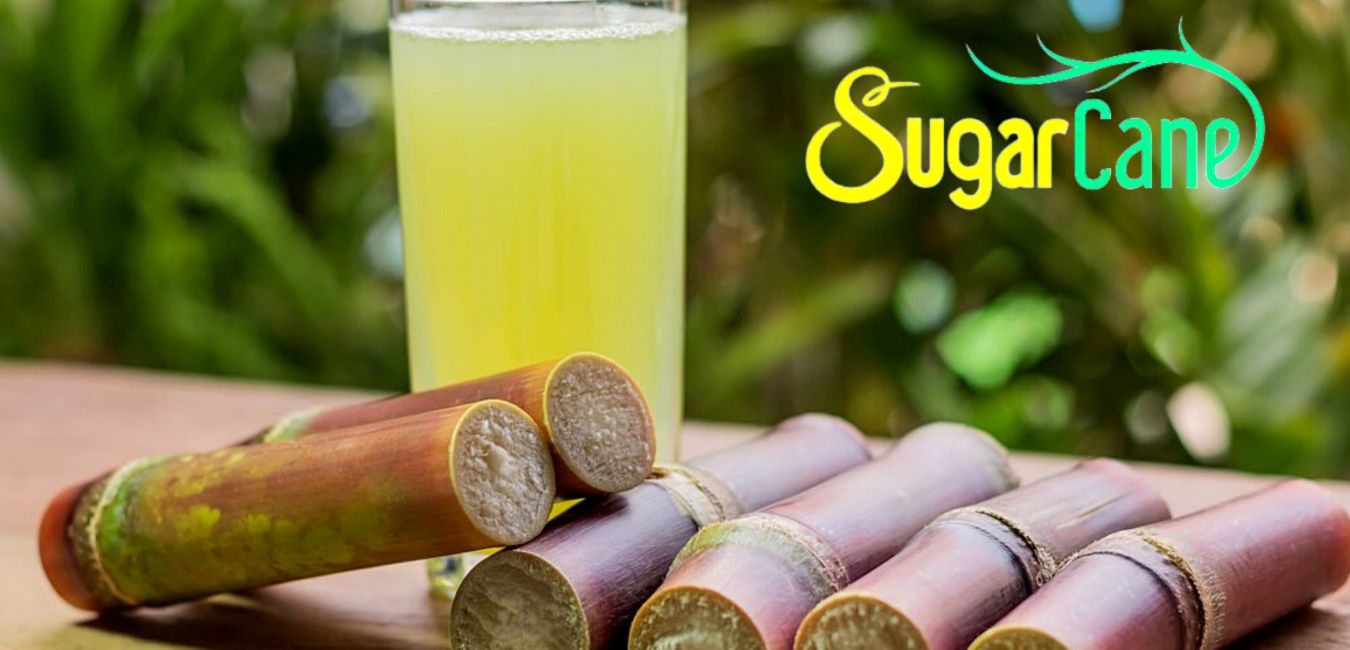 cane-sugar-nutrition-facts-and-benefits-tipsfu