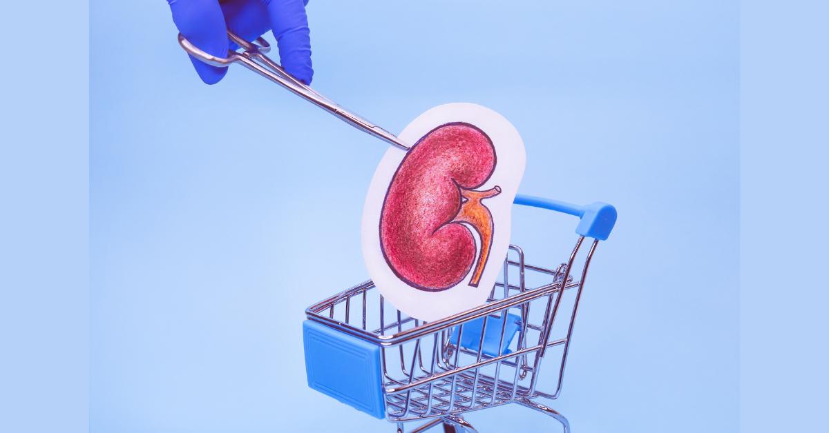 How Is A Kidney Sold In Dollars? Risks and Alternative Markets TipsFu